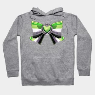 Aro Pride Power Hoodie